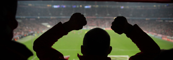 Silhouette of a person with raised fists watching a football match in a large, crowded stadium.