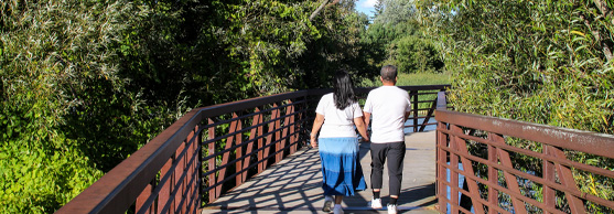 Two people walk hand in hand on a wooden bridge surrounded by green trees on a sunny day.
