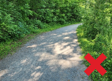 A gravel path curves through dense green trees, with a large red X in the bottom right corner.