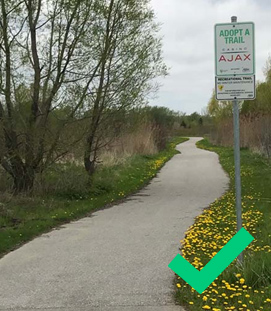 Paved walking path with yellow flowers along the edge, trees nearby, and an Adopt a Trail sign posted on the right.