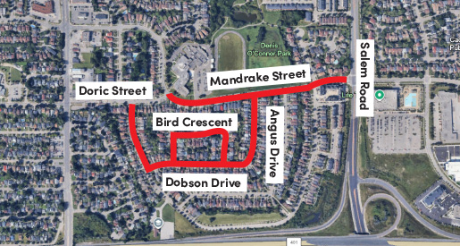 mandrake dobson road construction