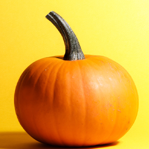 pumpkin on yellow background