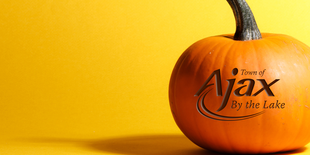 TOA pumpkin