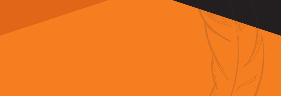 banner feather